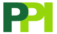 PPI :: Printing & Promotional Items :: Tupelo, MS Logo