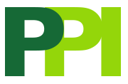 PPI :: Printing & Promotional Items :: Tupelo, MS Logo